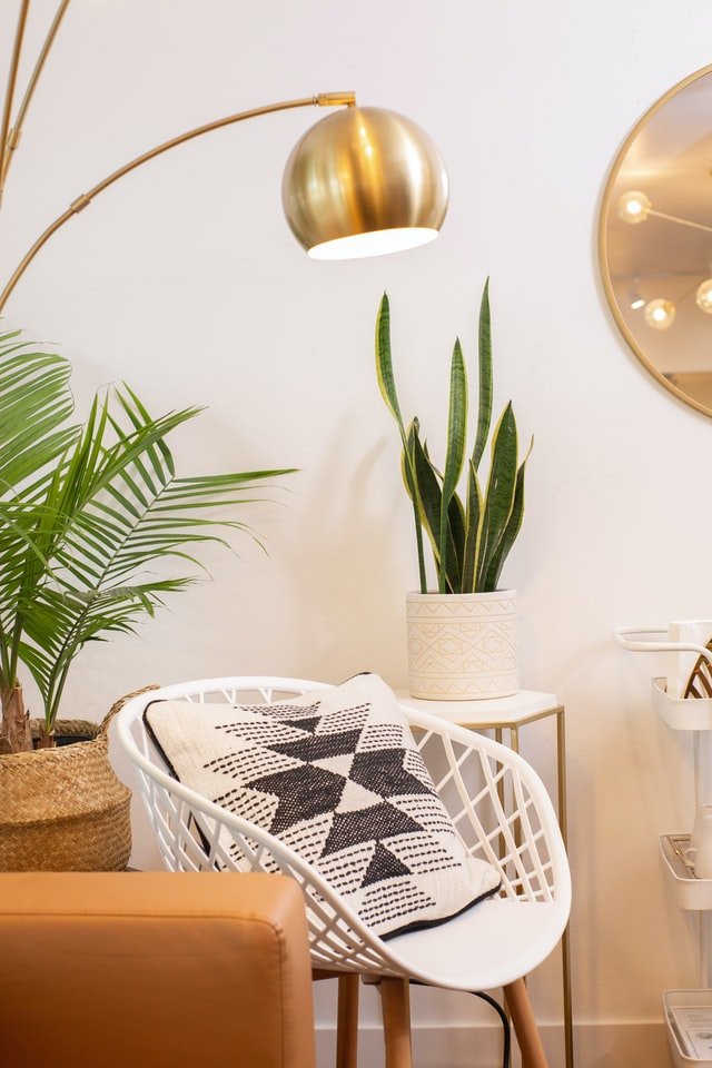 Palm leaves against a styled interior wall